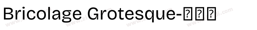 Bricolage Grotesque字体转换